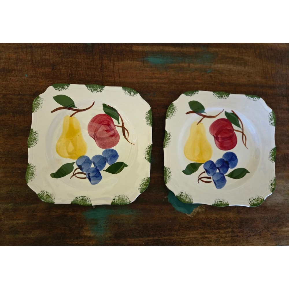 Blue Ridge Southern Potteries Square Bountiful Fruit Salad Plates Set of 2